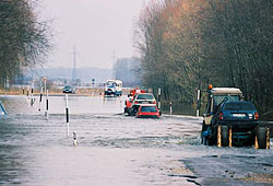 potvynis1.jpg